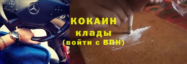 соль ск Вяземский