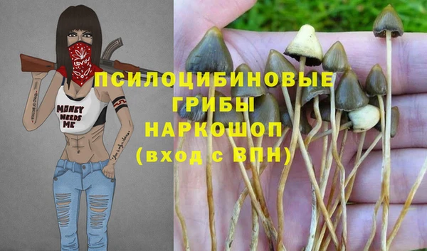 дмт Волоколамск