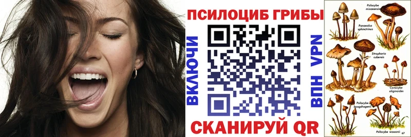 Псилоцибиновые грибы GOLDEN TEACHER  Купить  Качканар 